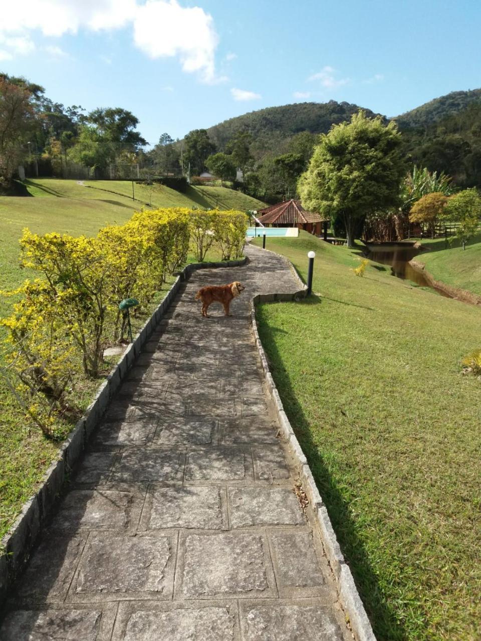 Canto Da Serrinha Teresópolis المظهر الخارجي الصورة